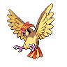 pidgeotto's image