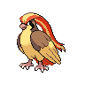 pidgeot's image