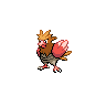 spearow's image