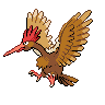 fearow's image
