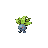 oddish's image