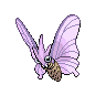venomoth's image