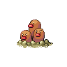 dugtrio's image