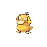 psyduck's image