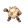 primeape's image