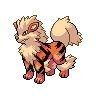 arcanine's image