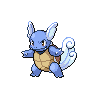 wartortle's image